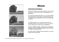 Bäume-Lesetext-SW-1.pdf